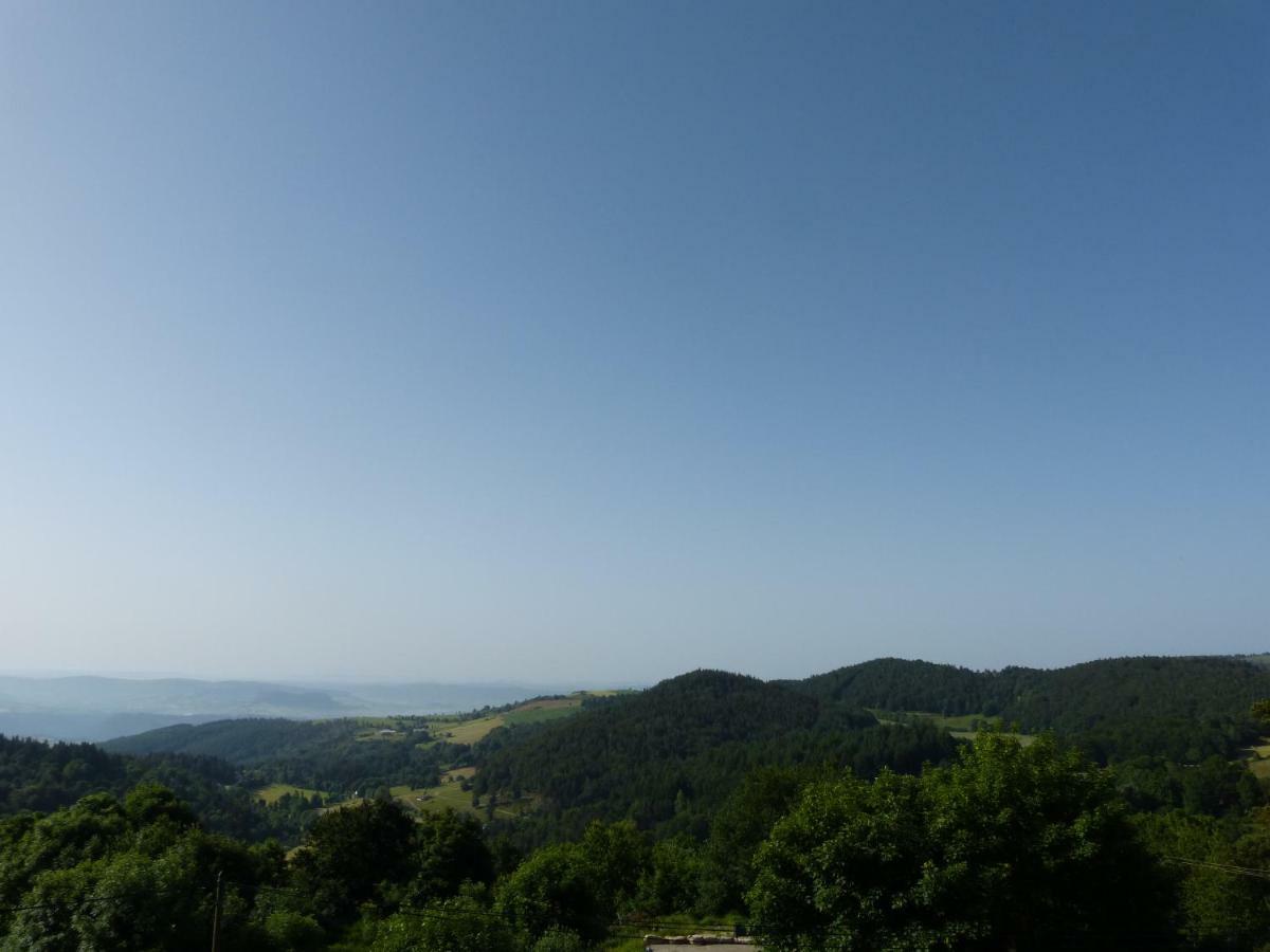 Hotel Le Chalet Antrenas Zewnętrze zdjęcie