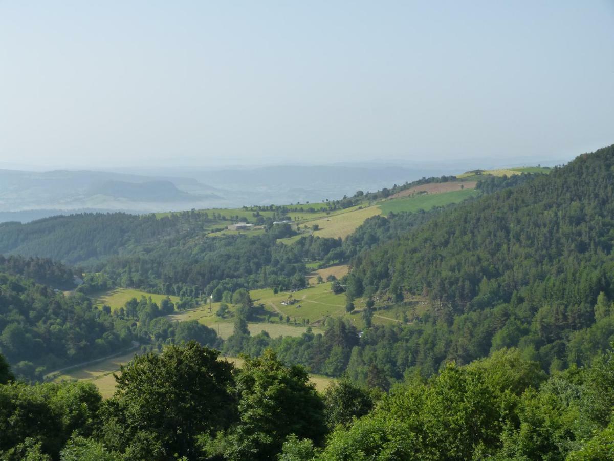 Hotel Le Chalet Antrenas Zewnętrze zdjęcie